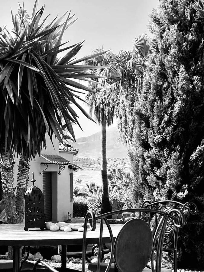 Premium Bed & Breakfast Casa Alegria Andaluza Los Romanes Екстер'єр фото